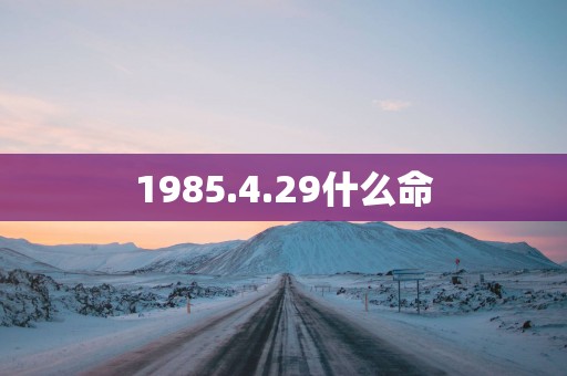 1985.4.29什么命