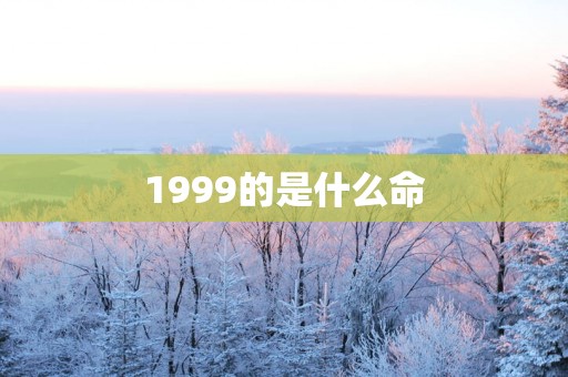 1999的是什么命