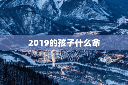 2019的孩子什么命