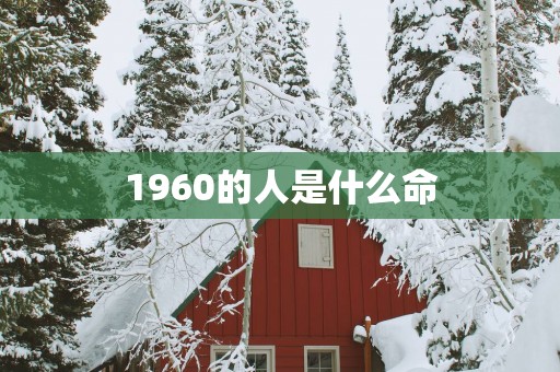 1960的人是什么命