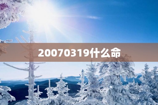 20070319什么命