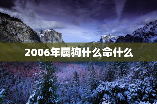 2006年属狗什么命什么