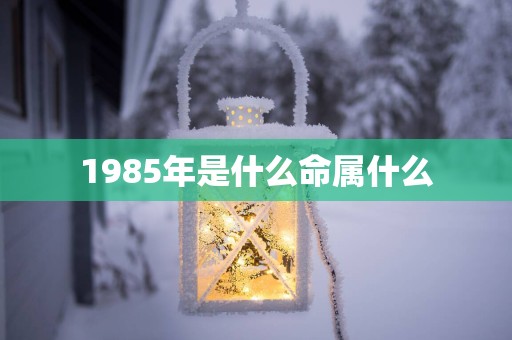 1985年是什么命属什么