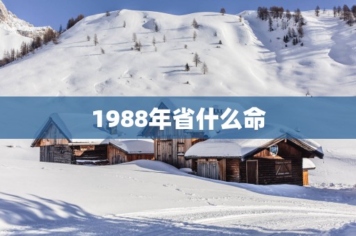 1988年省什么命
