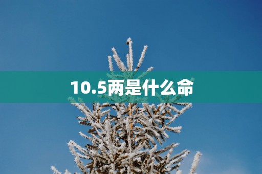 10.5两是什么命