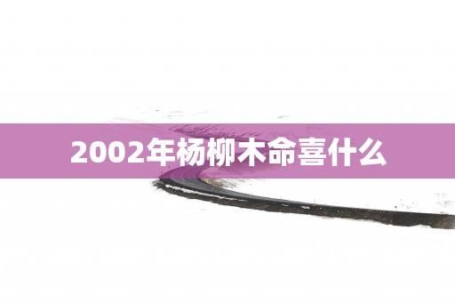 2002年杨柳木命喜什么