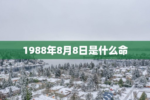 1988年8月8日是什么命