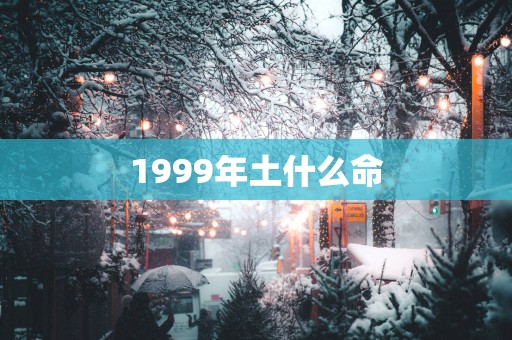 1999年土什么命