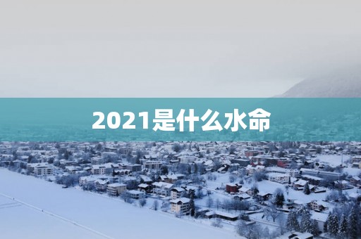 2025是什么水命
