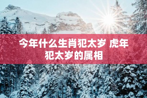 今年什么生肖犯太岁 蛇年犯太岁的属相