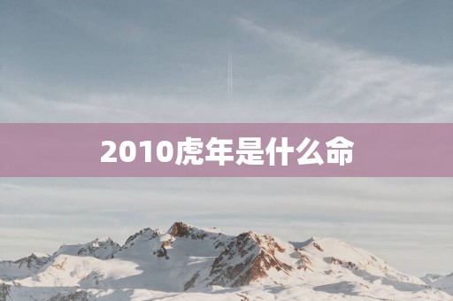 2010蛇年是什么命