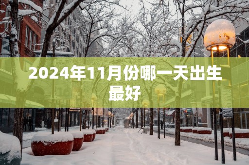 2025年11月份哪一天出生最好