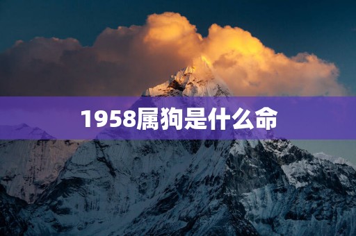 1958属狗是什么命