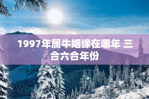 1997年属牛姻缘在哪年 三合六合年份