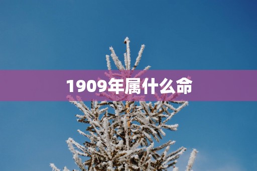 1909年属什么命
