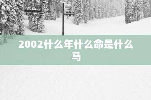 2002什么年什么命是什么马