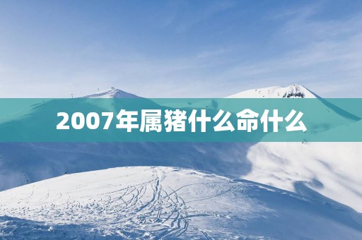 2007年属猪什么命什么