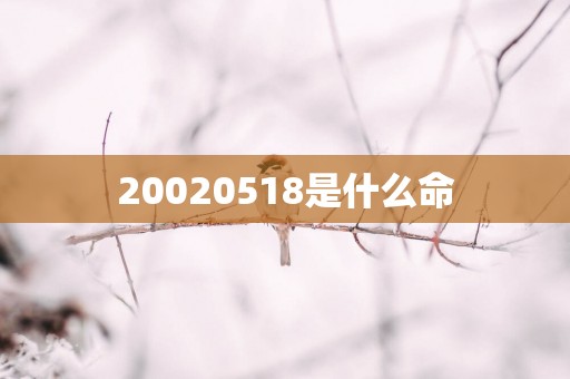 20020518是什么命