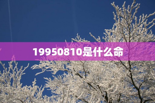 19950810是什么命