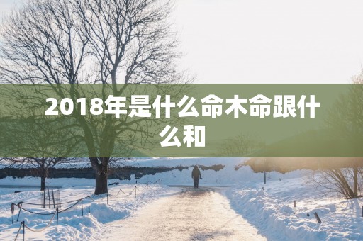 2018年是什么命木命跟什么和