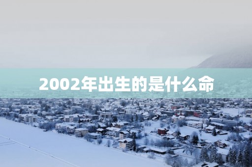 2002年出生的是什么命
