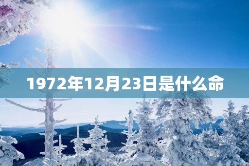 1972年12月23日是什么命