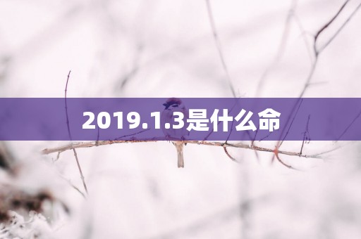 2019.1.3是什么命
