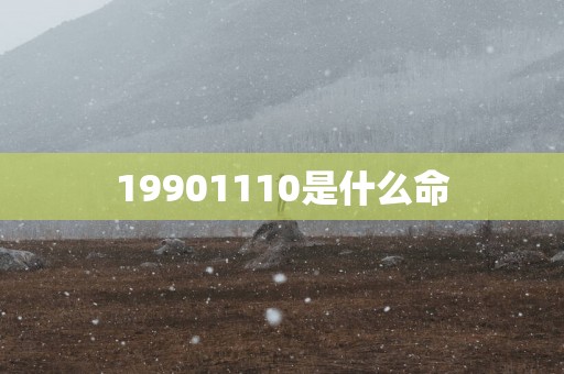 19901110是什么命