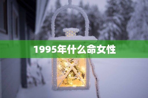1995年什么命女性