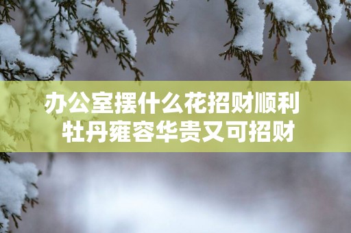 办公室摆什么花招财顺利  牡丹雍容华贵又可招财