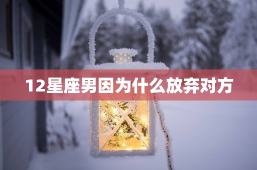 12星座男因为什么放弃对方
