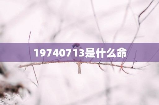 19740713是什么命