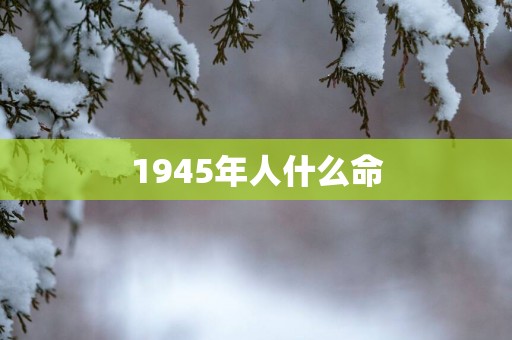 1945年人什么命