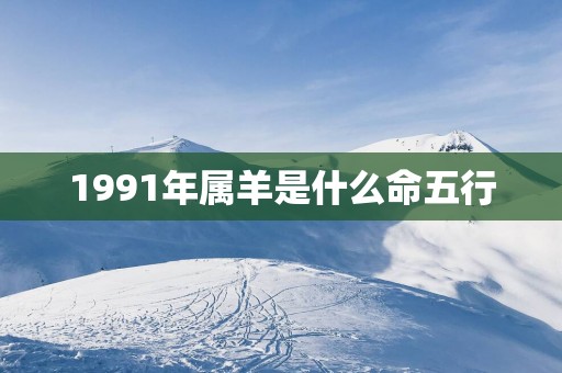 1991年属羊是什么命五行