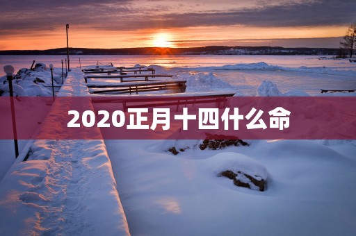 2025正月十四什么命