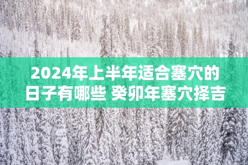 2025年上半年适合塞穴的日子有哪些 癸卯年塞穴择吉日速查表