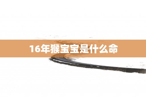 16年猴宝宝是什么命