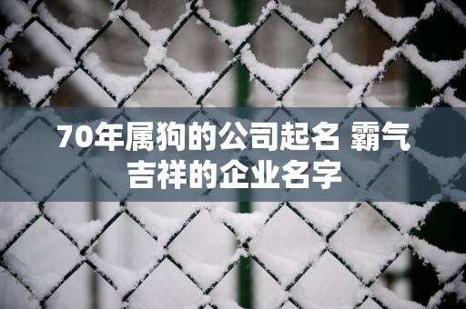 70年属狗的公司起名 霸气吉祥的企业名字