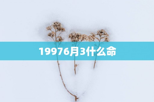 19976月3什么命