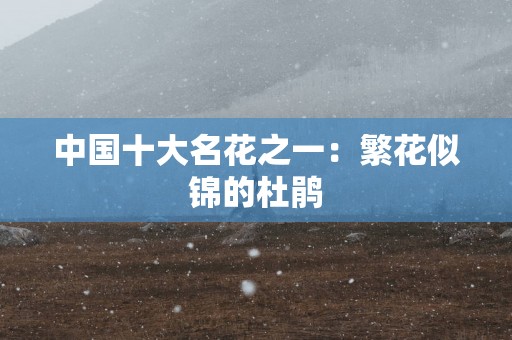 中国十大名花之一：繁花似锦的杜鹃