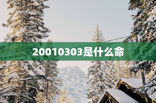 20010303是什么命