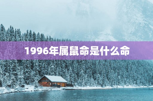 1996年属鼠命是什么命