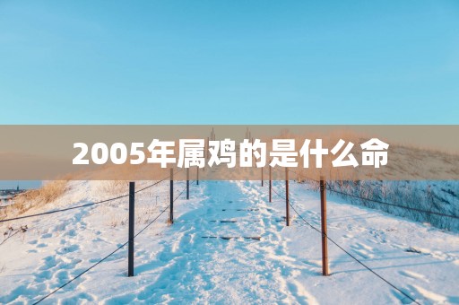 2005年属鸡的是什么命