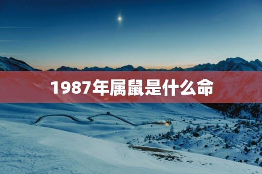 1987年属鼠是什么命