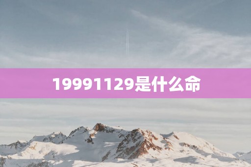 19991129是什么命