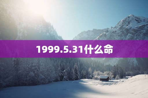 1999.5.31什么命
