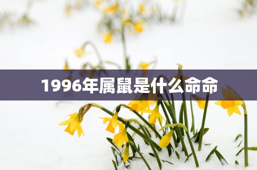 1996年属鼠是什么命命