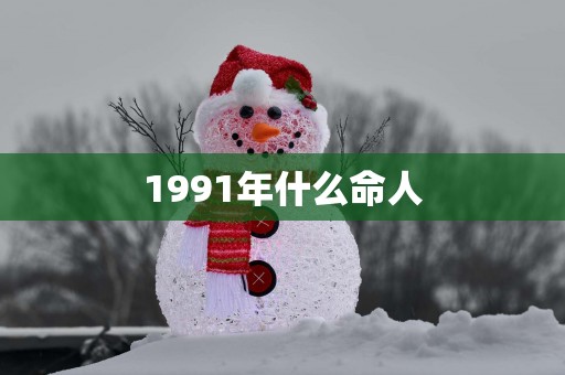 1991年什么命人