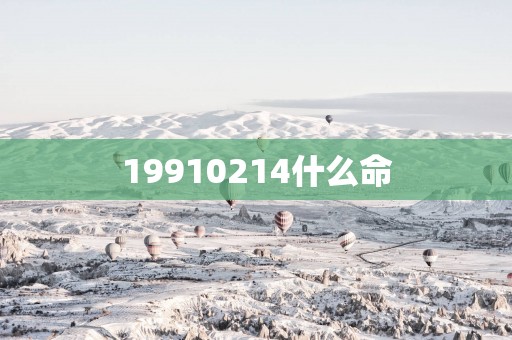 19910214什么命