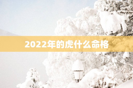 2025年的虎什么命格